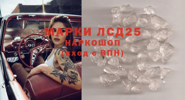 стаф Балахна