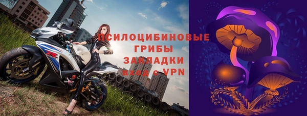 стаф Балахна