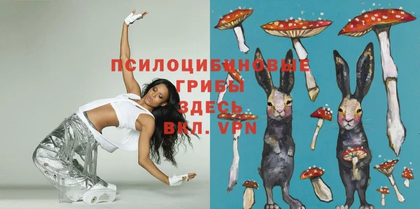 ECSTASY Баксан